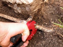 Preventing costly sprinkler repairs in Folsom California by cutting out a rotten pipe premtively