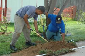 El Dorado Sprinkler Repair associates install a new sprinkler line